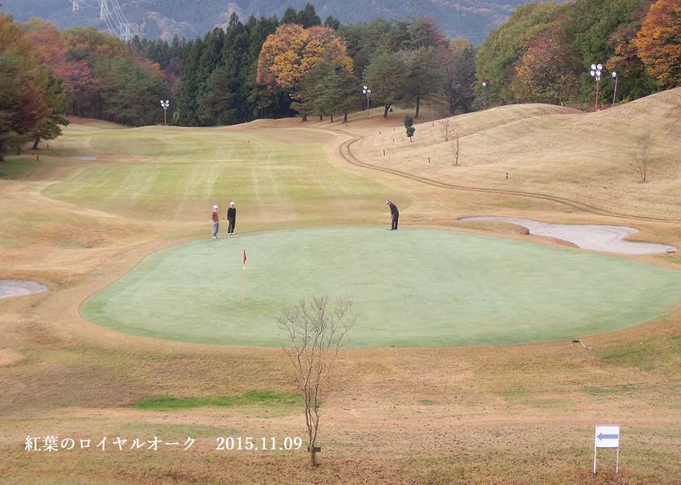 ロイヤルオーク