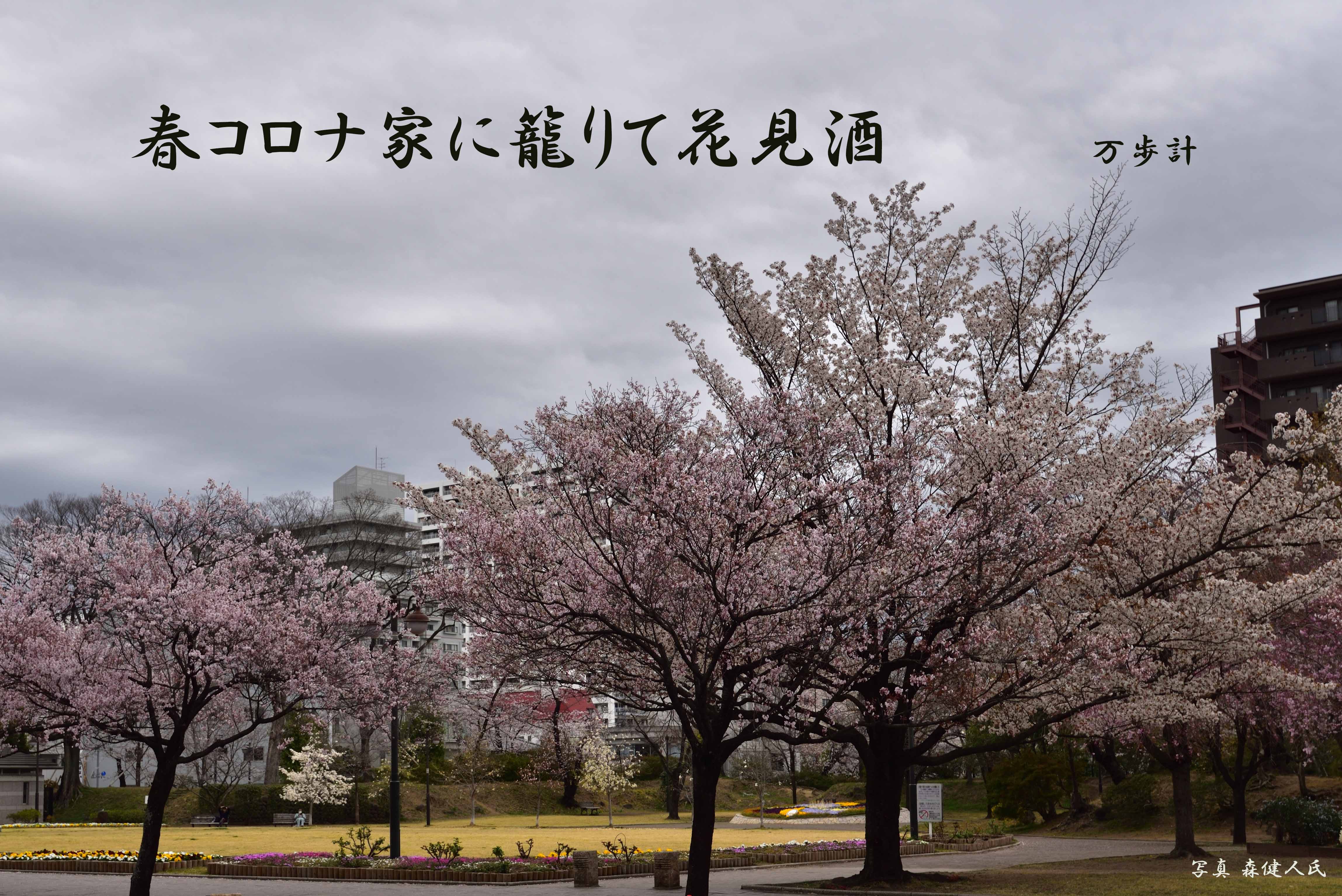 研修会