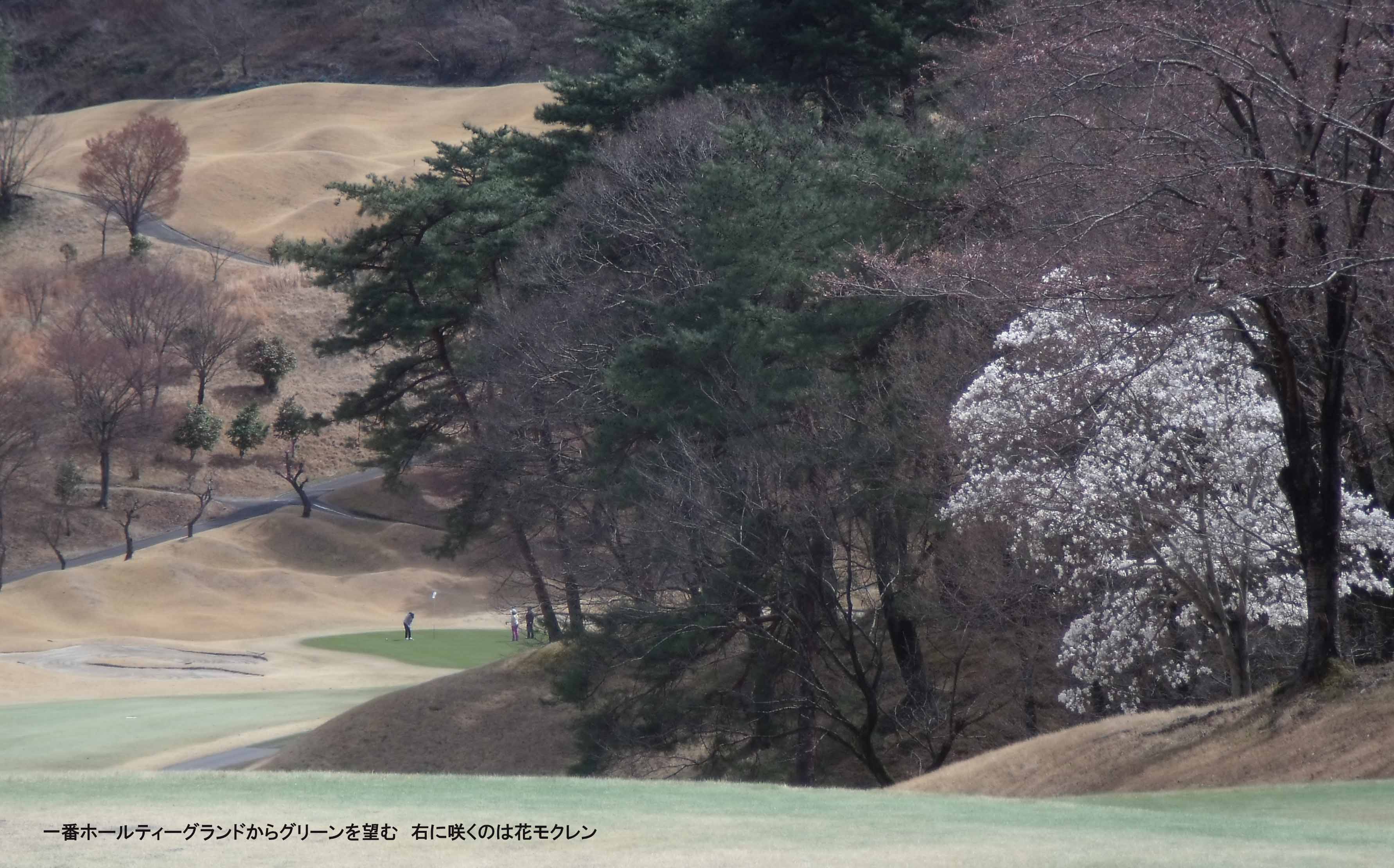 緑野cc