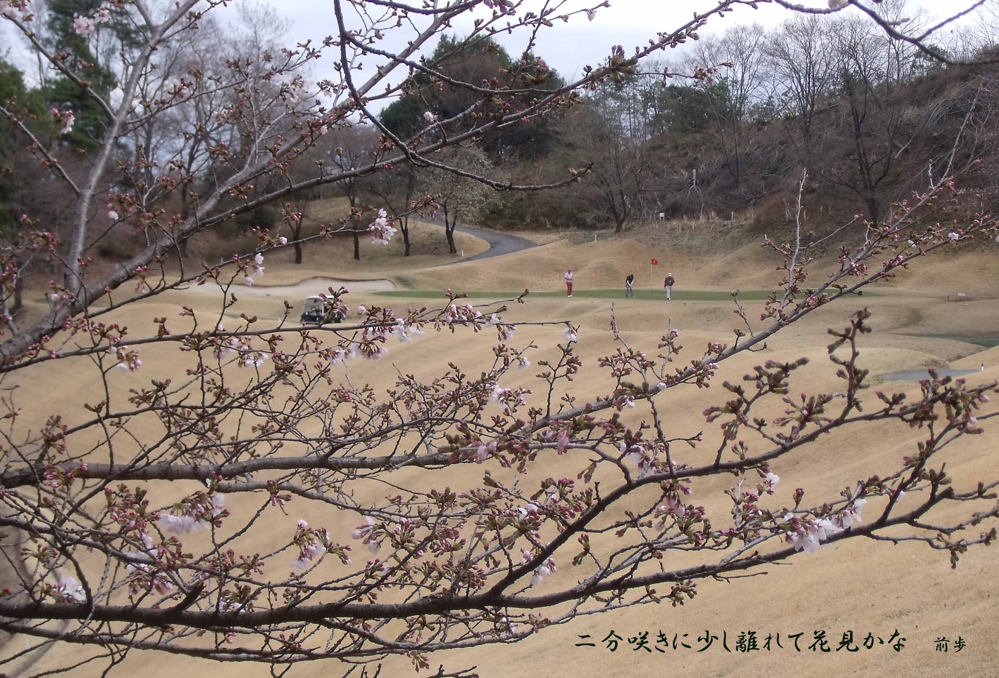 緑野cc