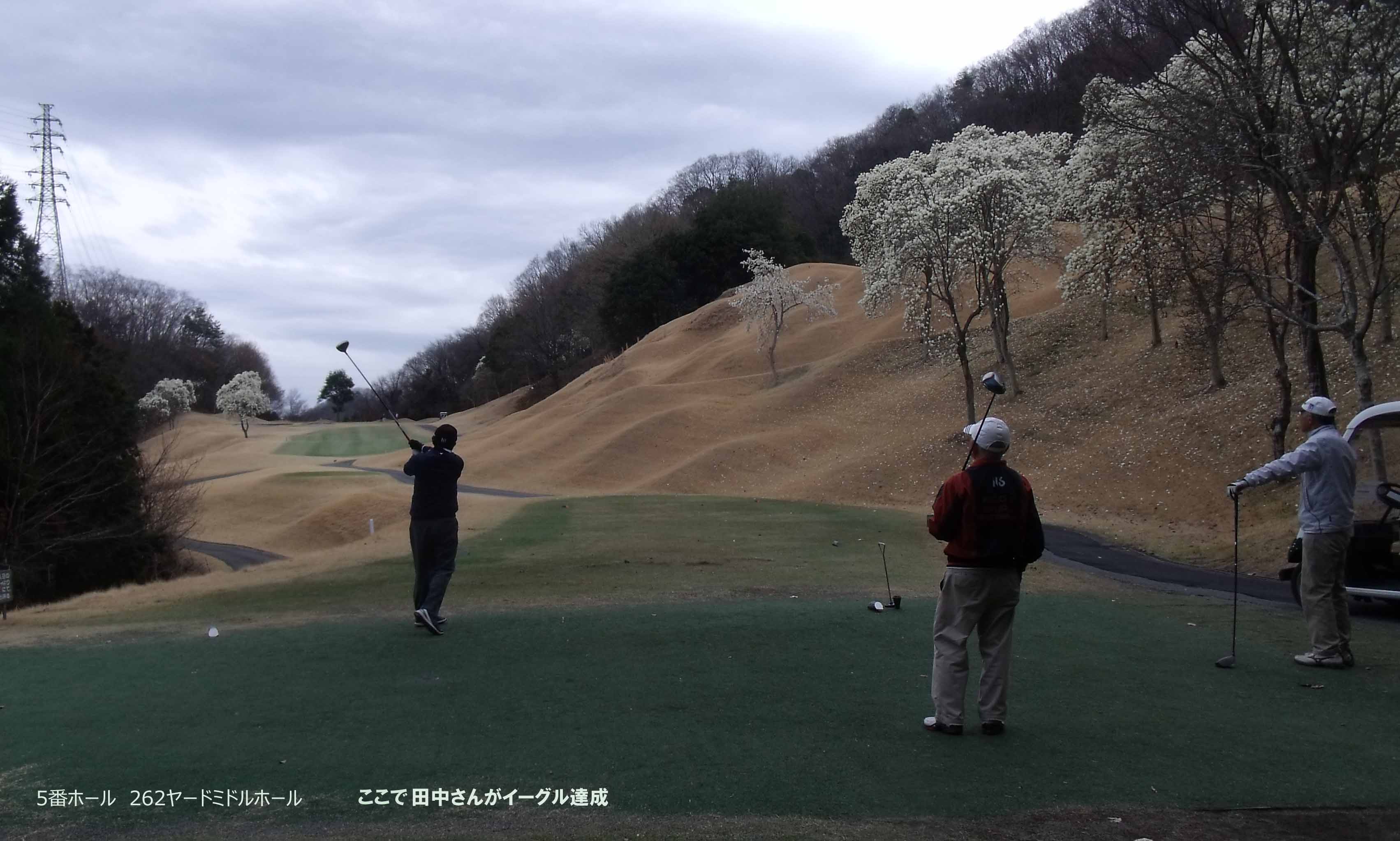 緑野cc