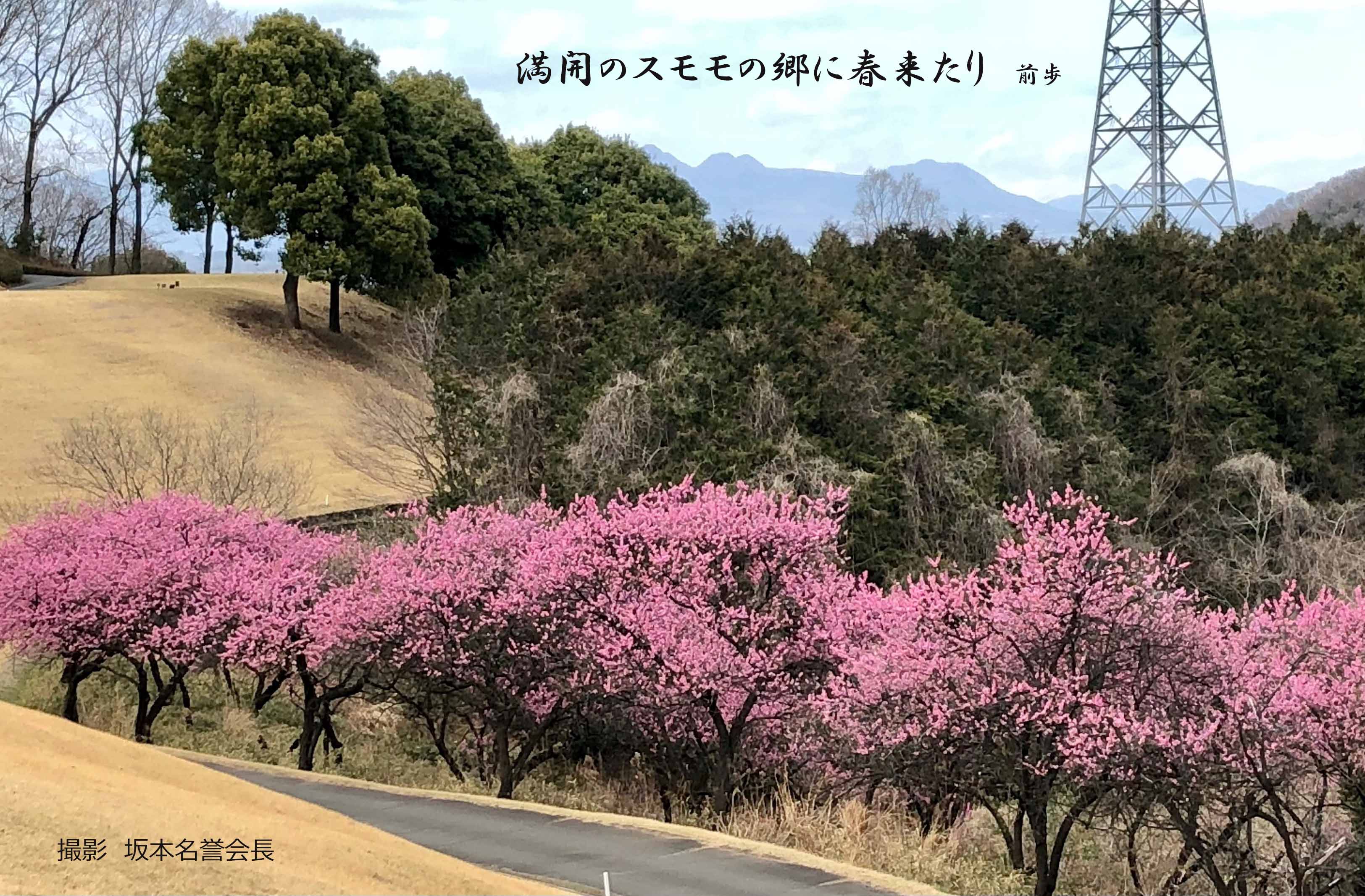 緑野cc