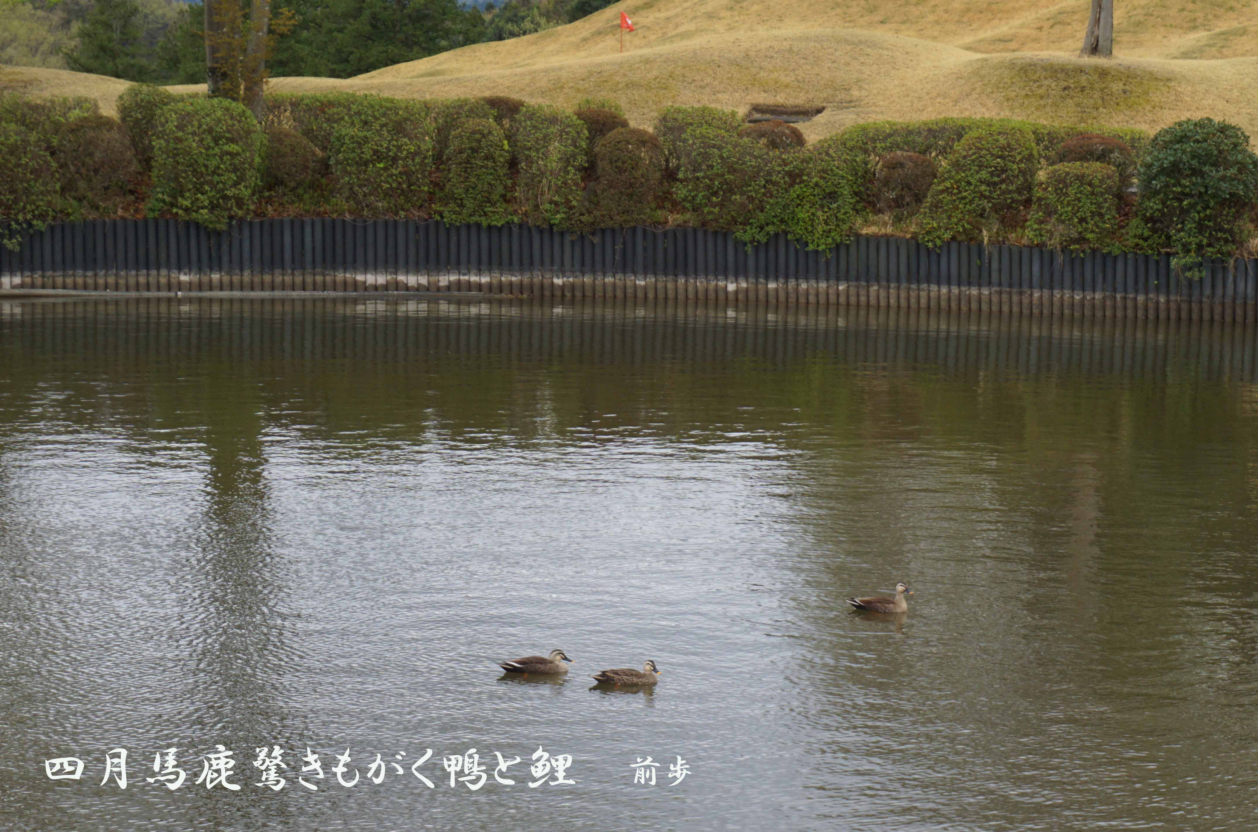 梅ノ郷