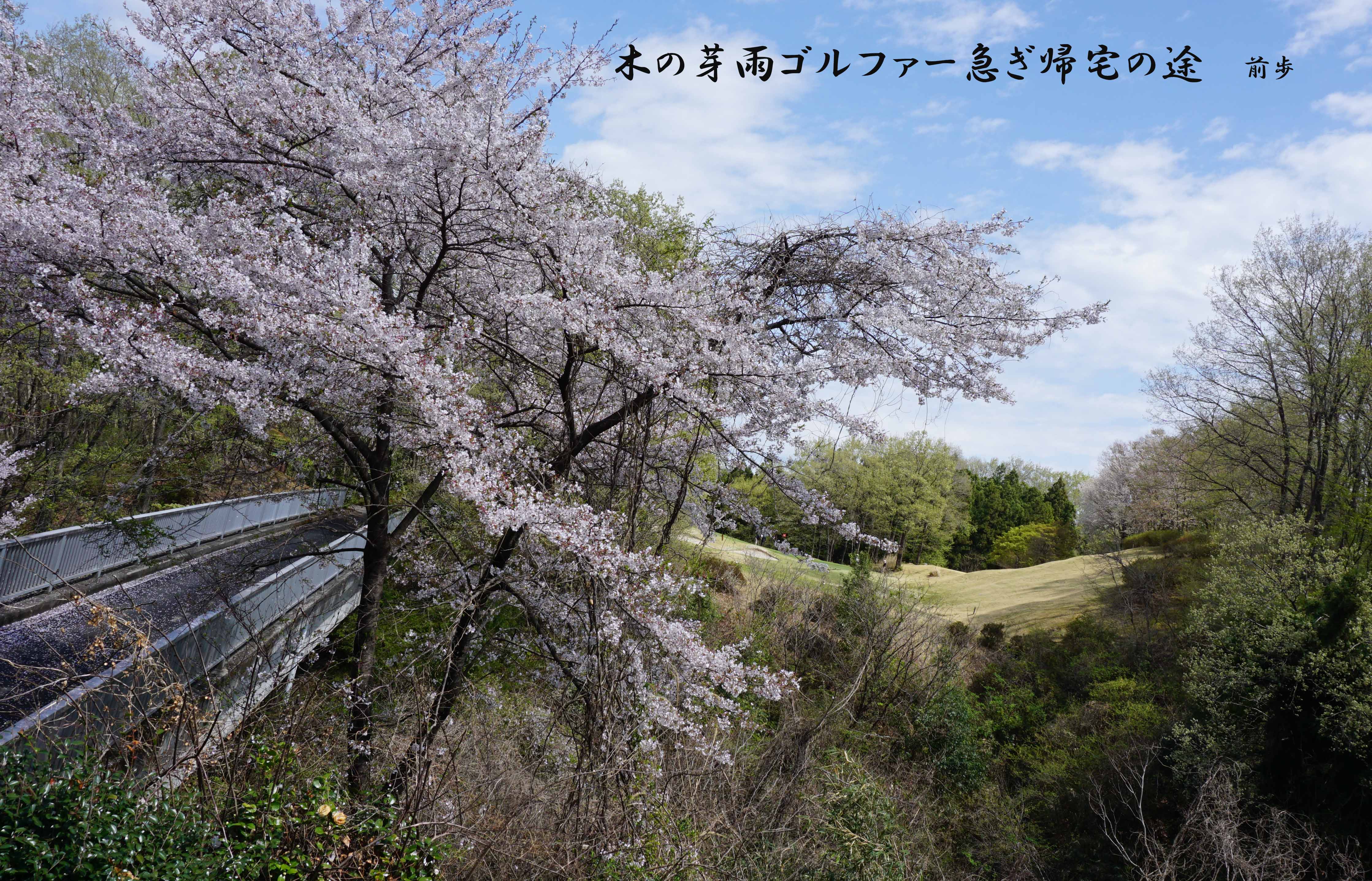 梅ノ郷