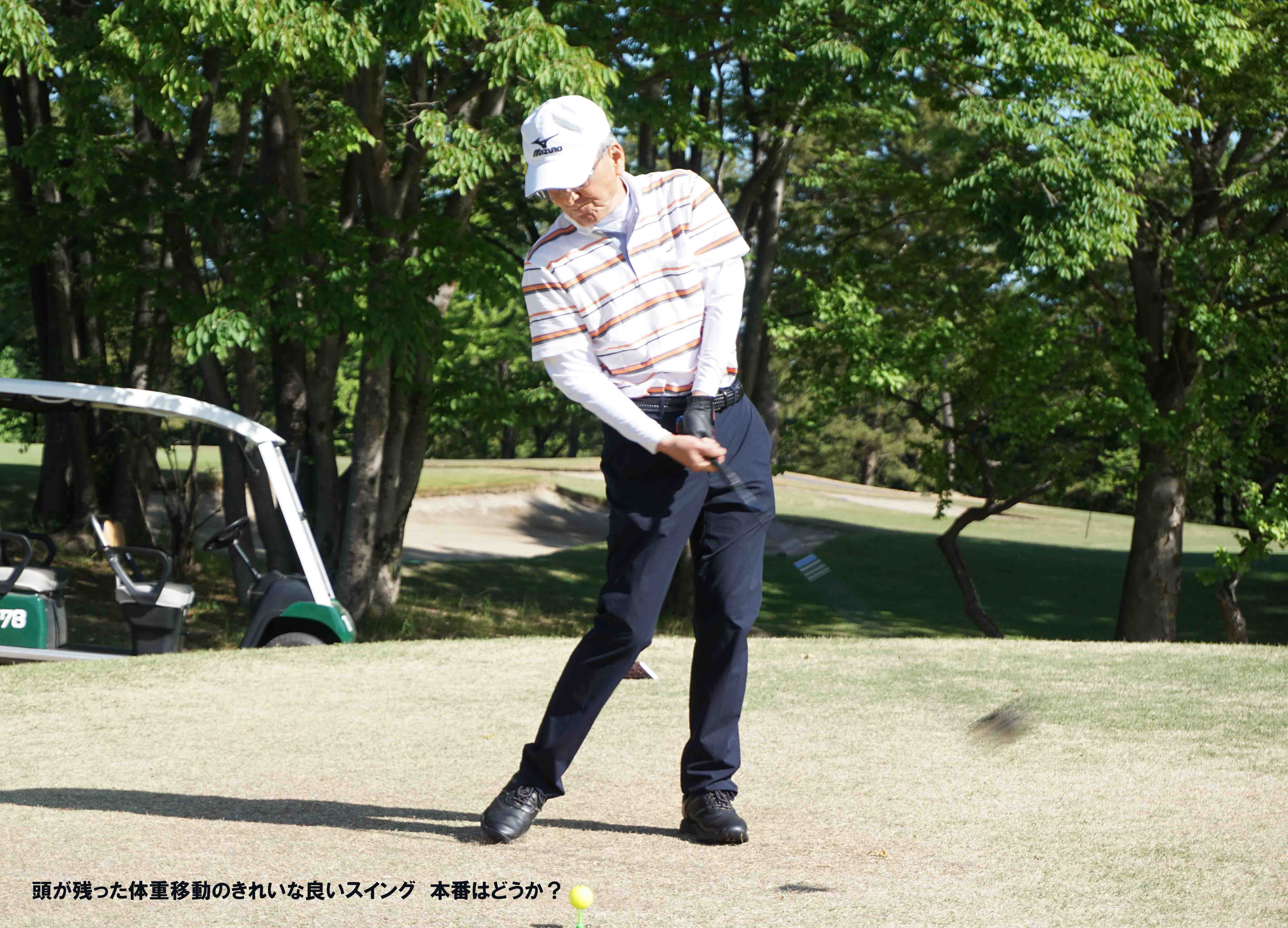 グリーンパーク