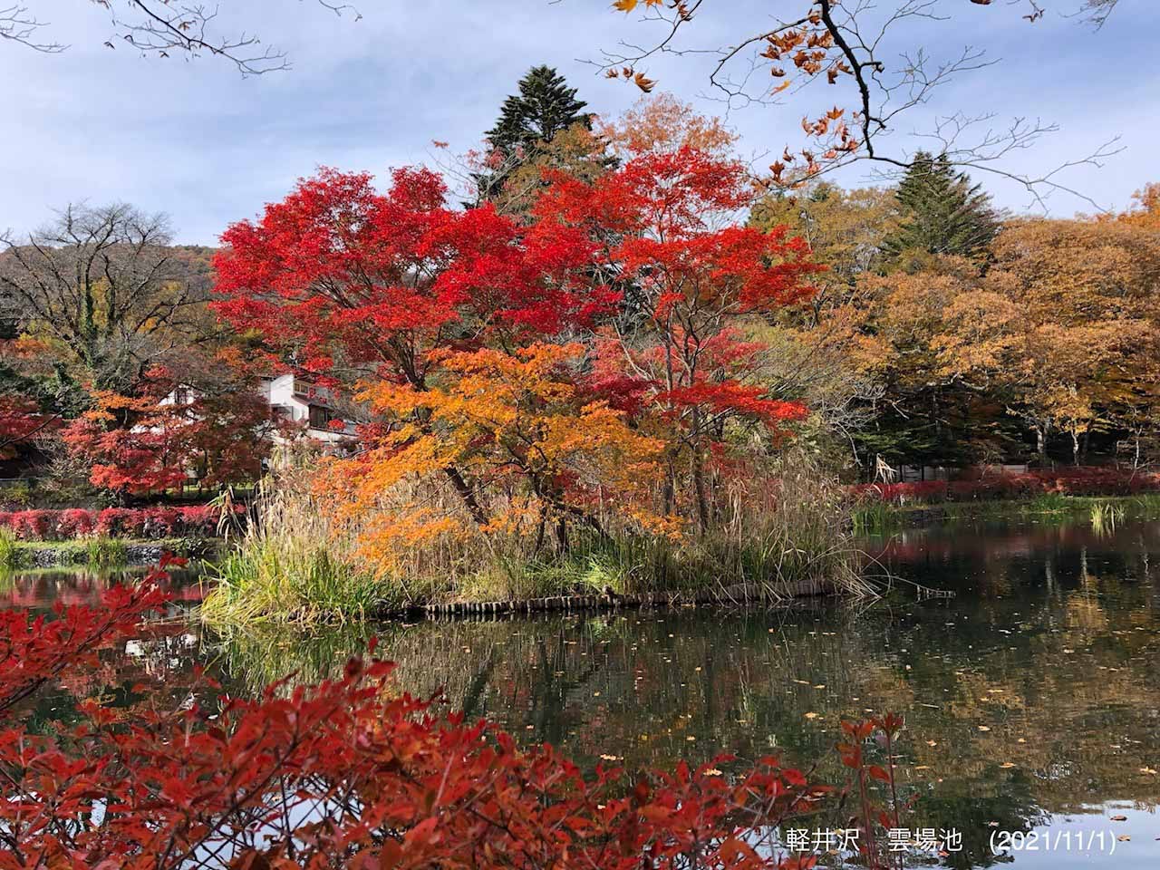 秋の写真