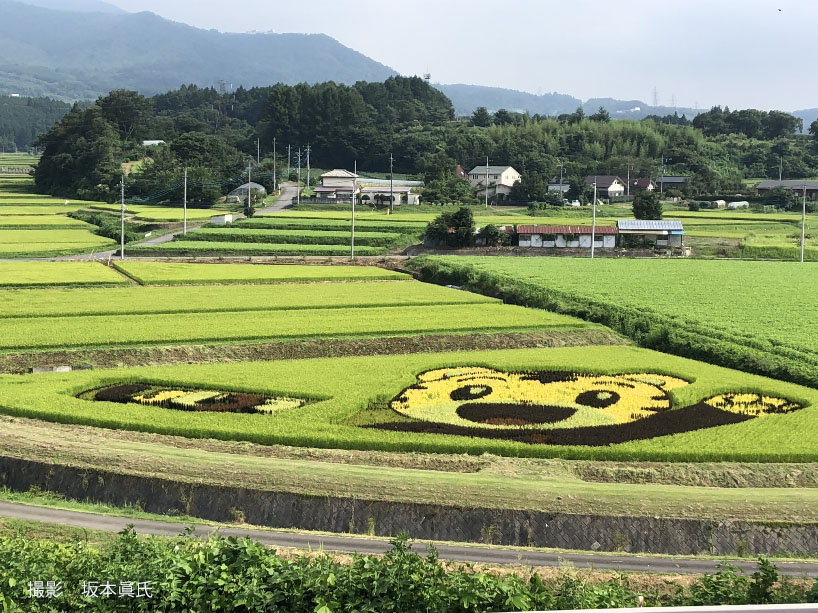 高山GC
