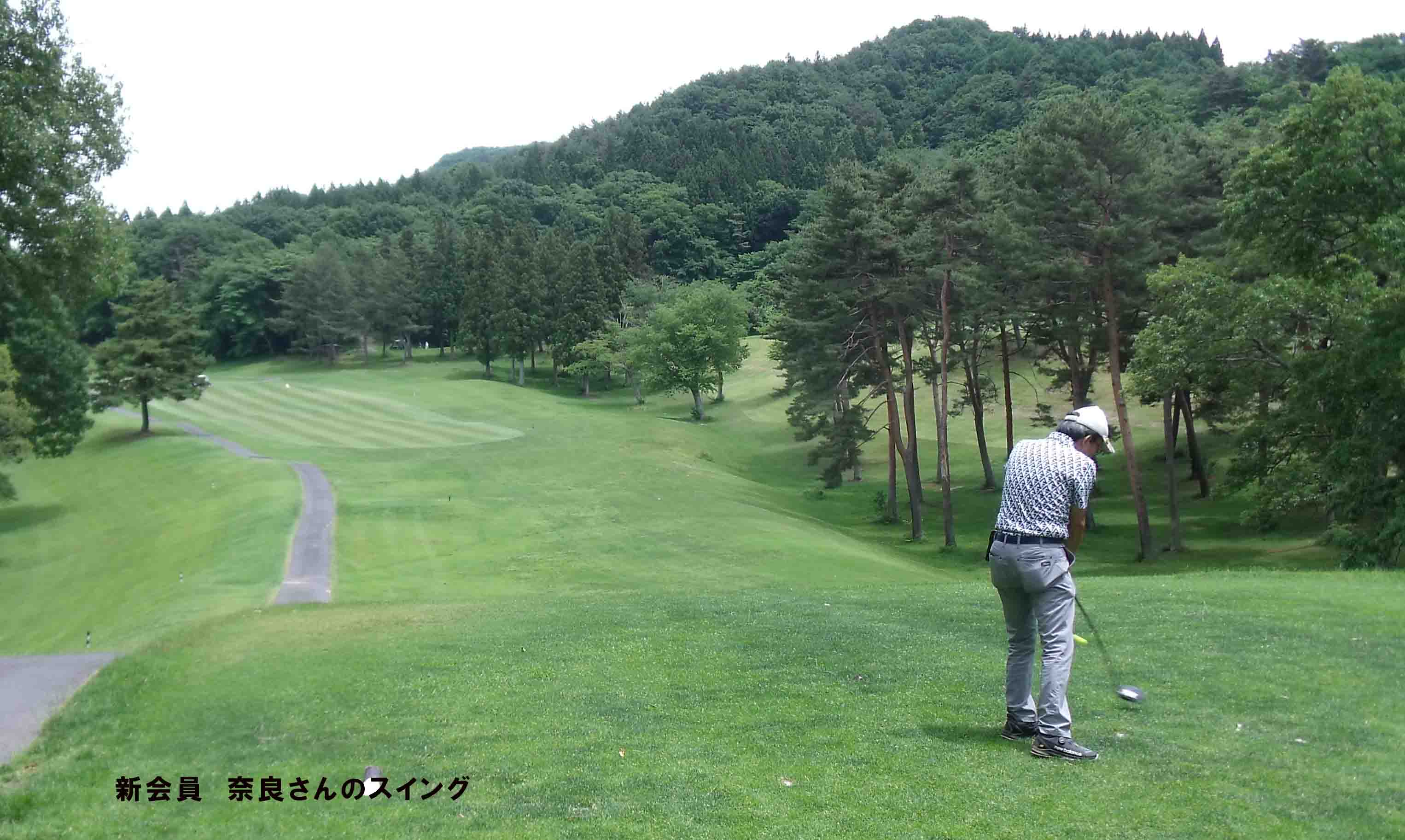 ノーザンｃｃ