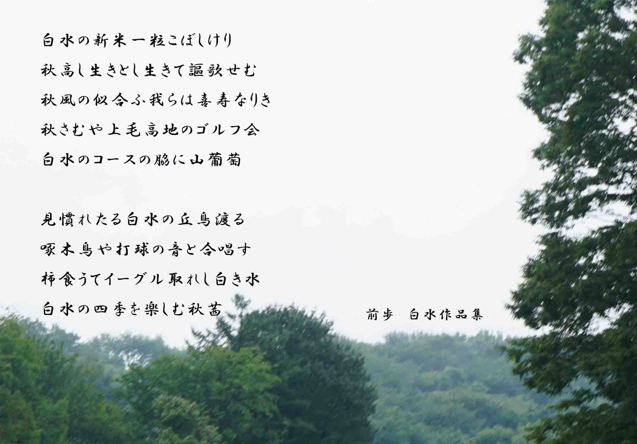 白水