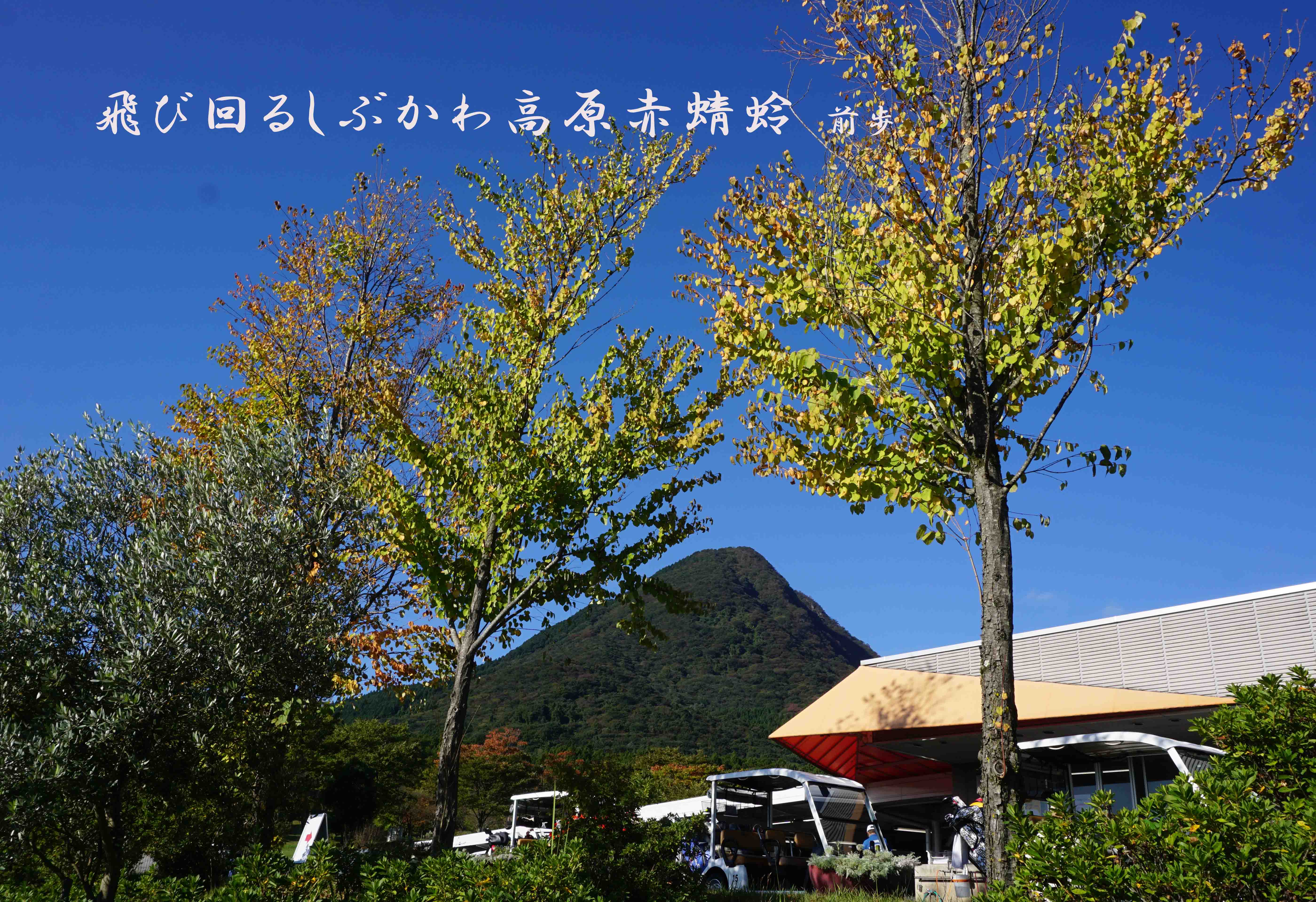 しぶかわCC