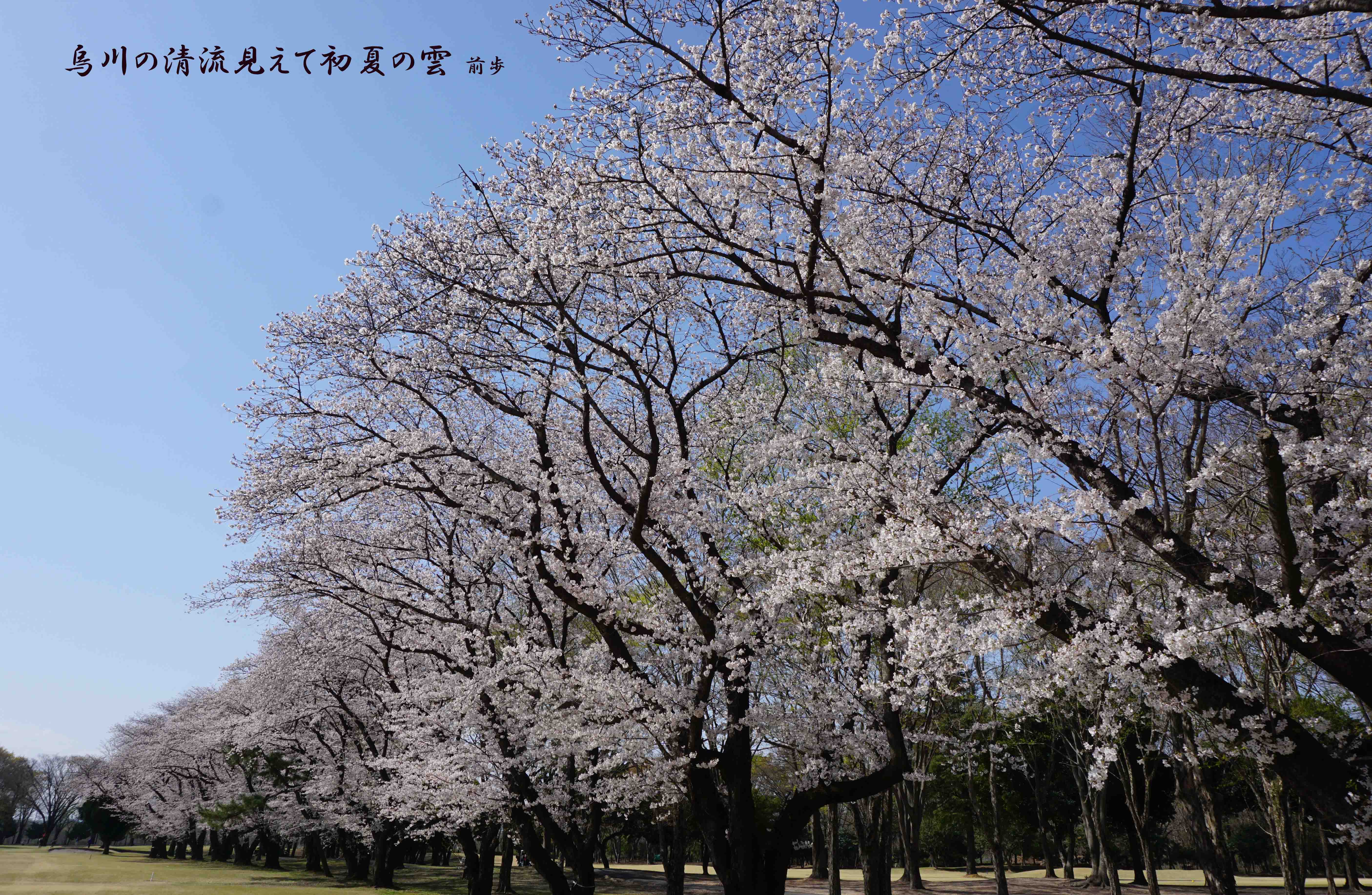 玉村
