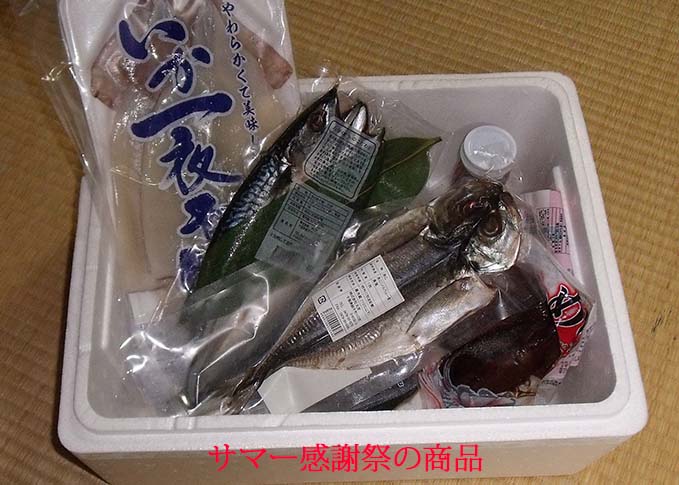 サマー感謝祭商品例